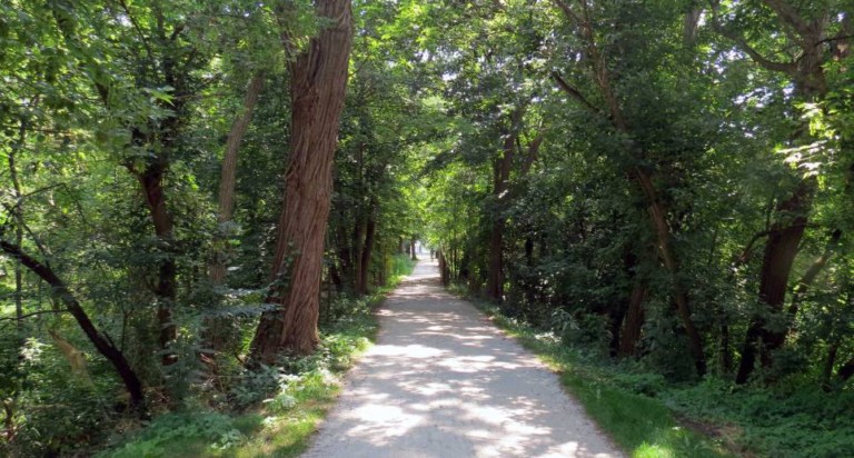 Cleveland Towpath