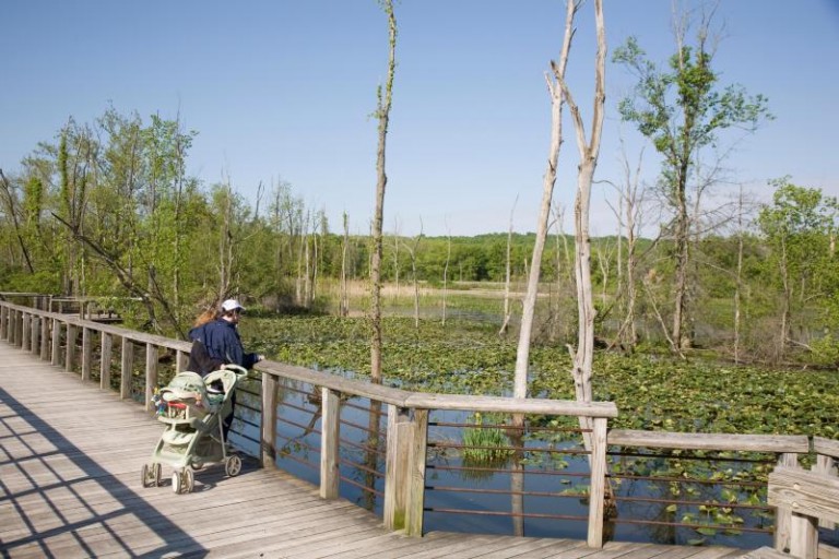 A Boardwalk on the Cleveland Towpath
